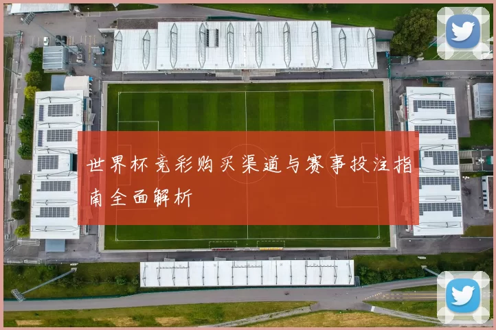 世界杯竞彩购买渠道与赛事投注指南全面解析