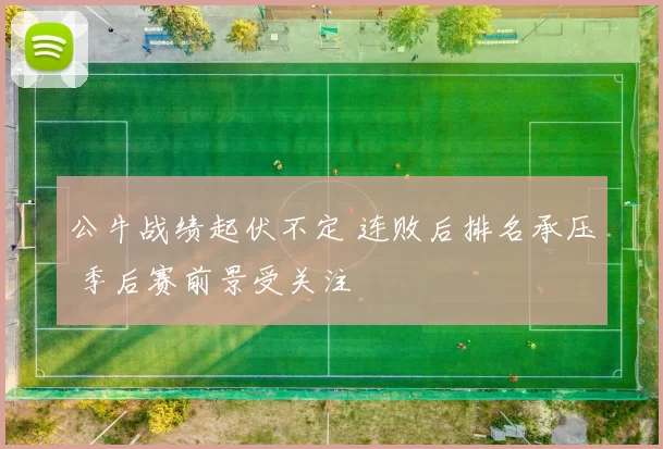 公牛战绩起伏不定 连败后排名承压 季后赛前景受关注