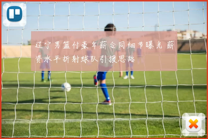 辽宁男篮付豪年薪合同细节曝光 薪资水平折射球队引援思路