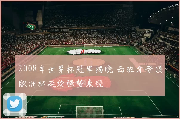 2008年世界杯冠军揭晓 西班牙登顶欧洲杯延续强势表现