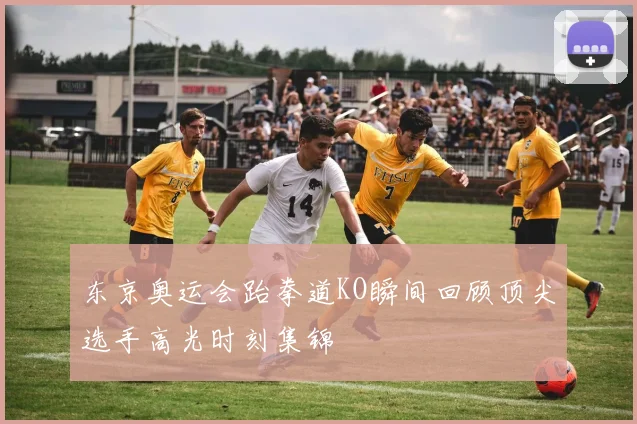 东京奥运会跆拳道KO瞬间回顾顶尖选手高光时刻集锦