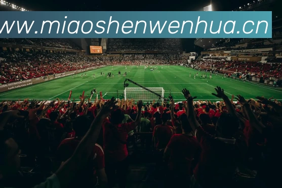 App Interface Preview